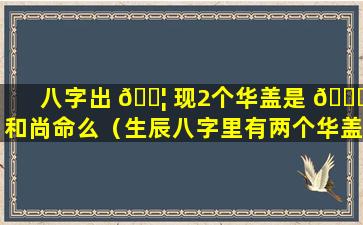 八字出 🐦 现2个华盖是 🐛 和尚命么（生辰八字里有两个华盖星是什么意思）